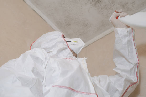 Best Crawl Space Mold Removal  in Lockport, NY
